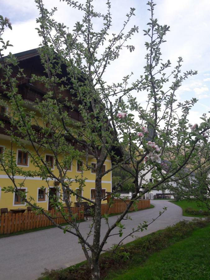 Biobauernhof Hauserbauer Hintersee Eksteriør bilde
