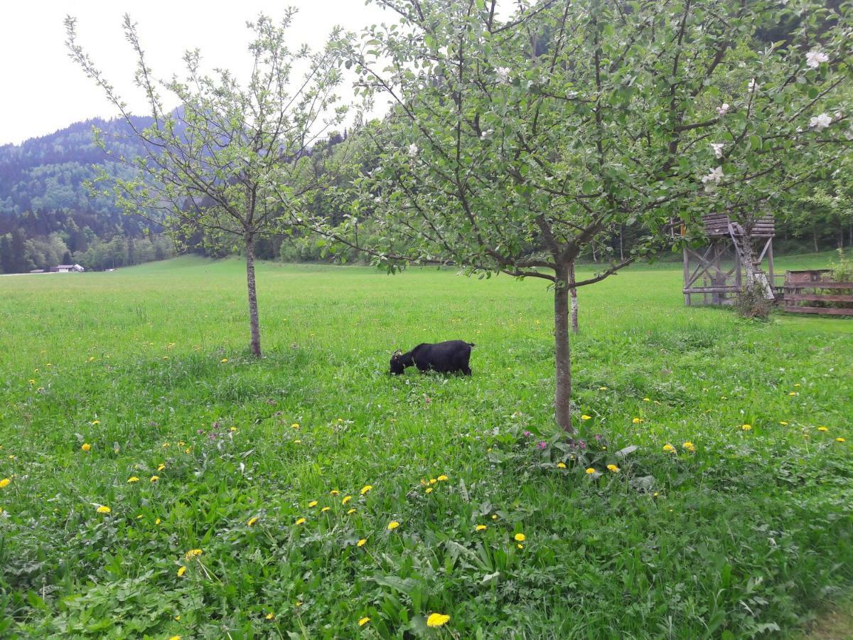Biobauernhof Hauserbauer Hintersee Eksteriør bilde