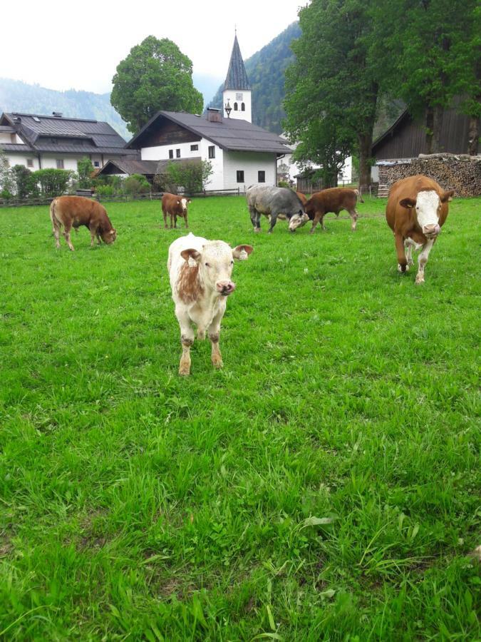 Biobauernhof Hauserbauer Hintersee Eksteriør bilde