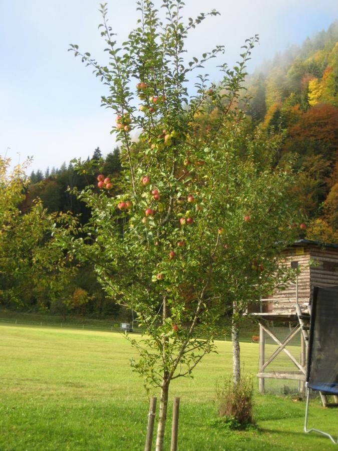 Biobauernhof Hauserbauer Hintersee Eksteriør bilde