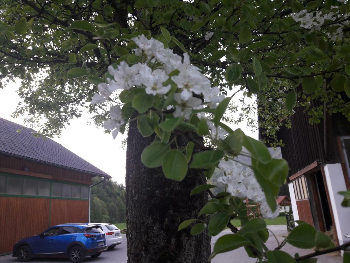 Biobauernhof Hauserbauer Hintersee Eksteriør bilde